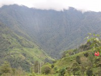 /album/fotogaleria/pao3-jpg/