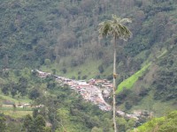 /album/fotogaleria/pao4-jpg/