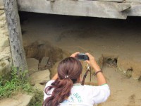 /album/fotogaleria/pao8-jpg/