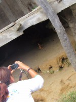 /album/fotogaleria/pao9-jpg/