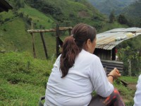 /album/fotogaleria/pao10-jpg/