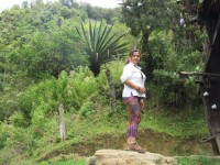 /album/fotogaleria/pao14-jpg/