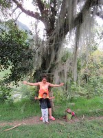 /album/fotogaleria/pao20-jpg/