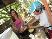 /album/fotogaleria/a12-jpg/