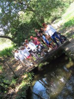 /album/fotogaleria/a33-jpg/