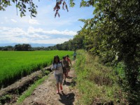 /album/fotogaleria/a43-jpg/