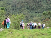 /album/fotogaleria/a61-jpg/