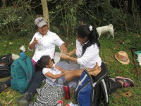 /album/fotogaleria/ros5-jpg/